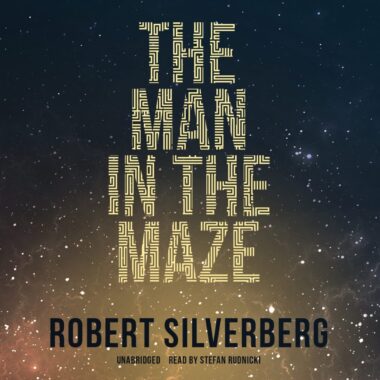 The Man In The Maze